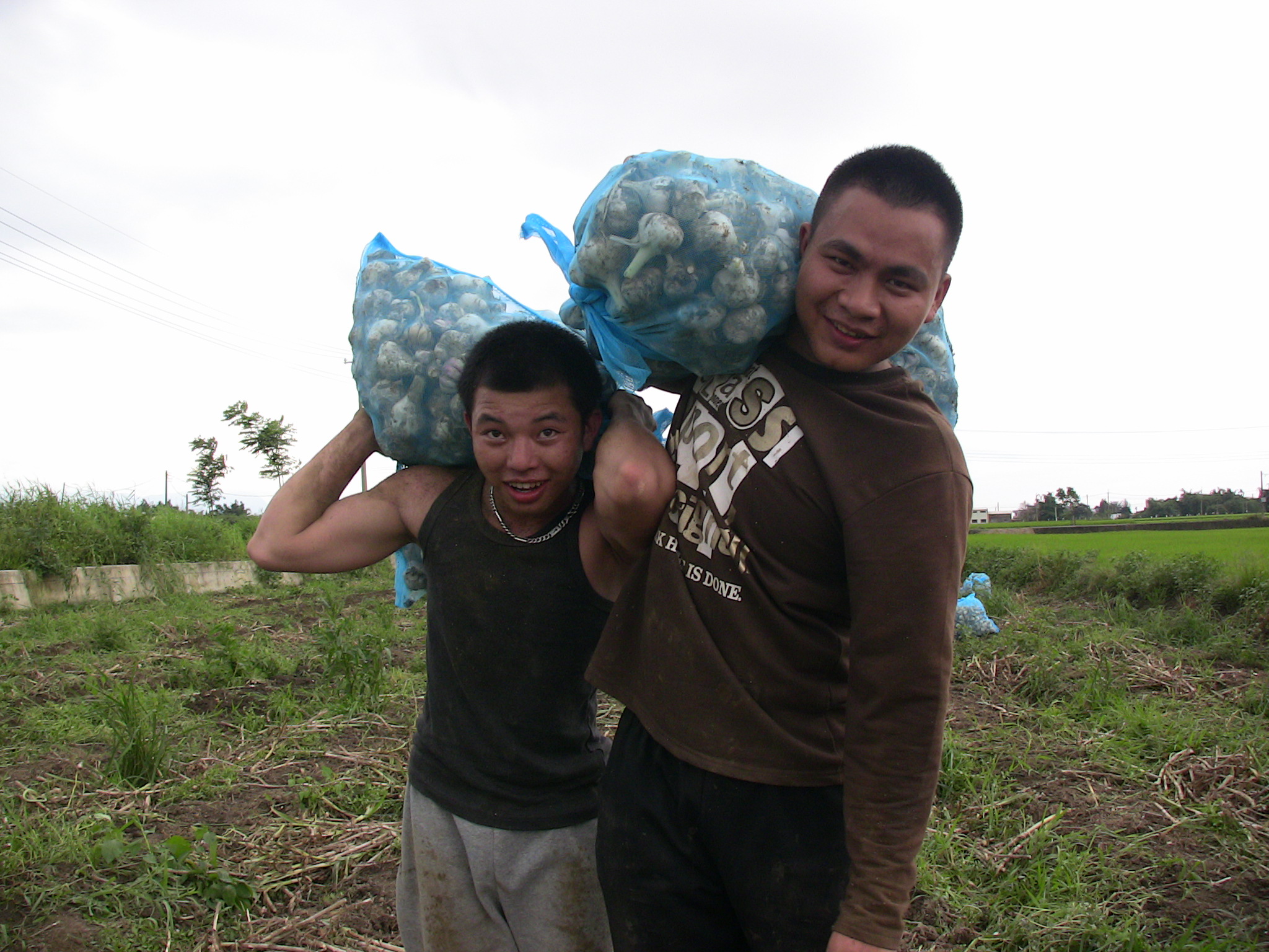 Migrant Workers Trilogy