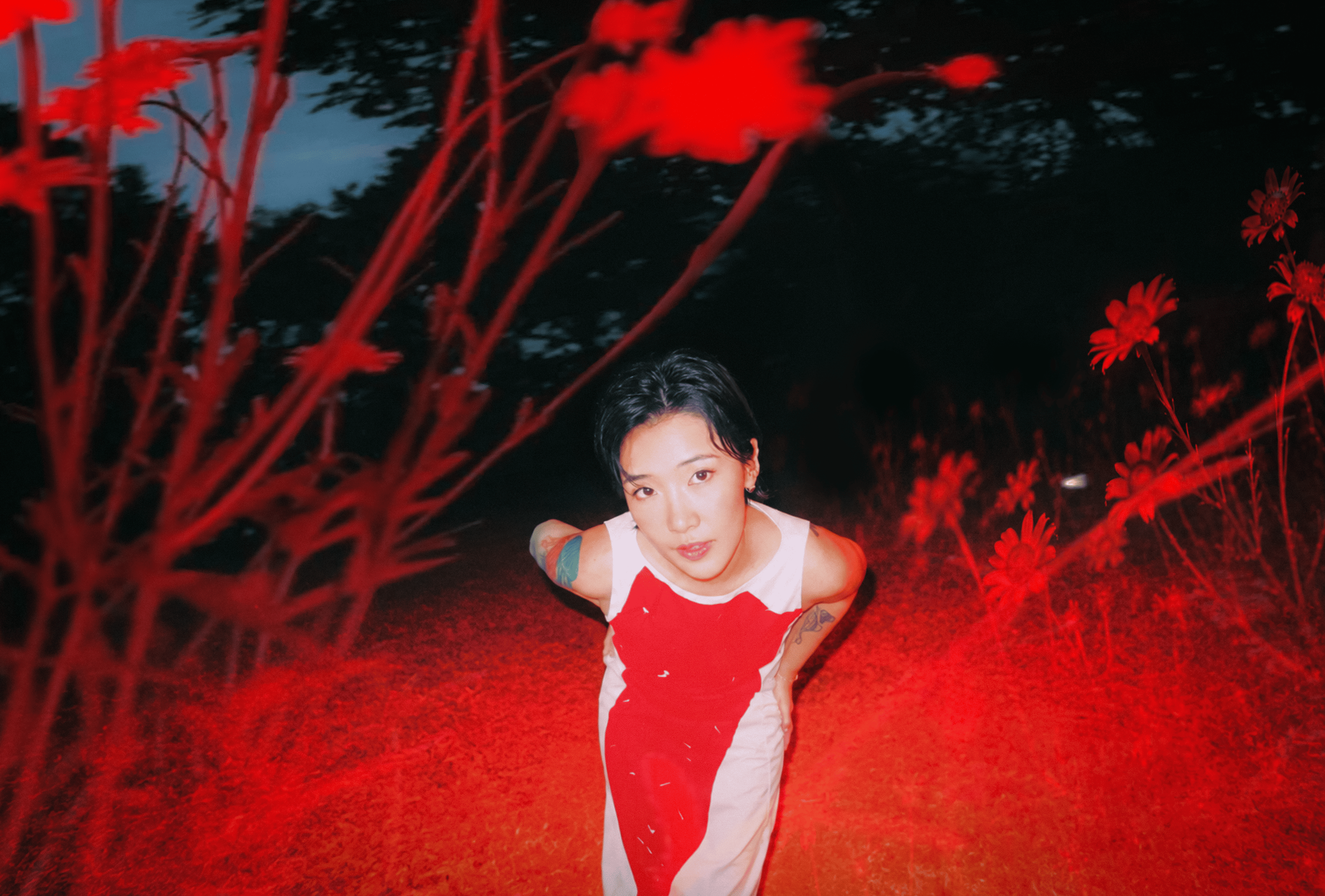 暗夜紅雛菊｜祈悅 JOiiCHEW 線上策展