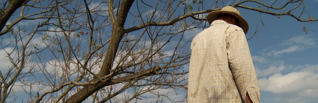 Giloo X 2026 TIDF：歷年經典選映