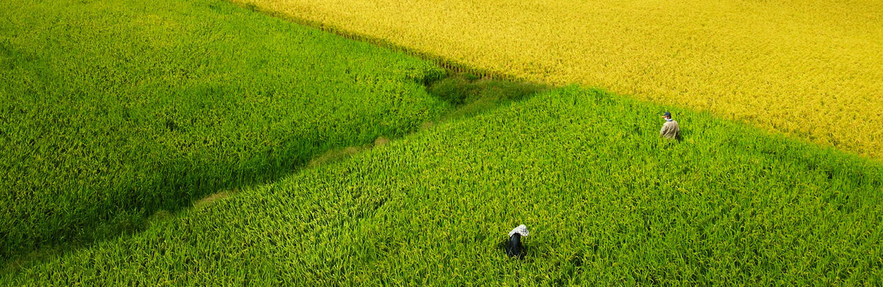 Wind, Sand and Stars