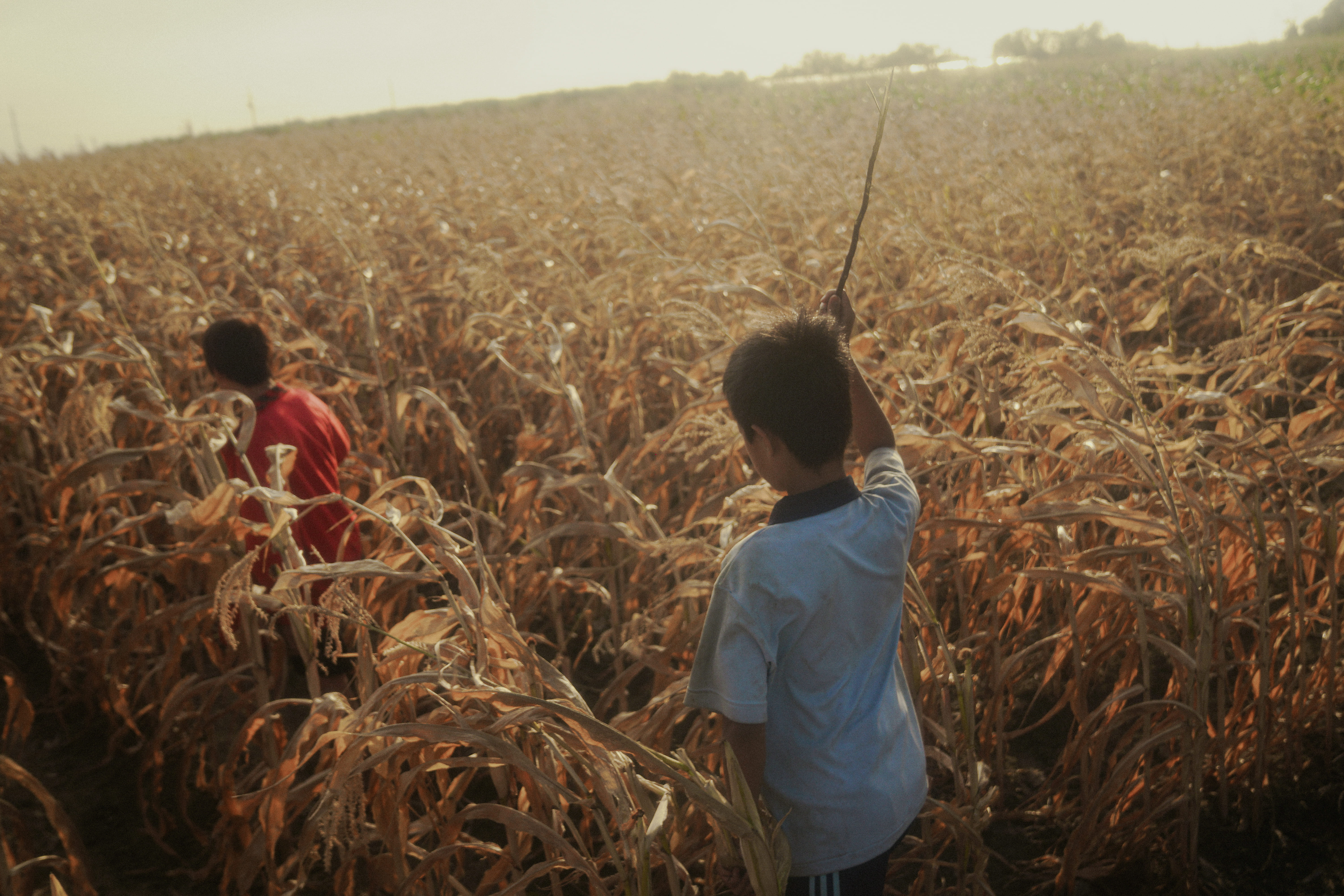 Bonjour la France, ici Taiwan