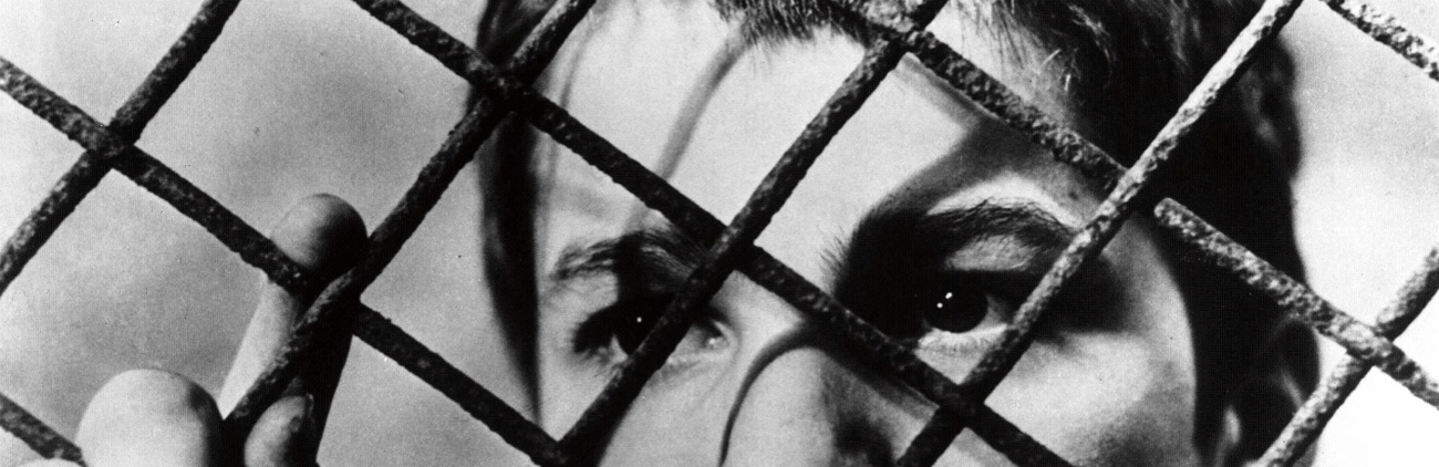 Classic of Truffaut