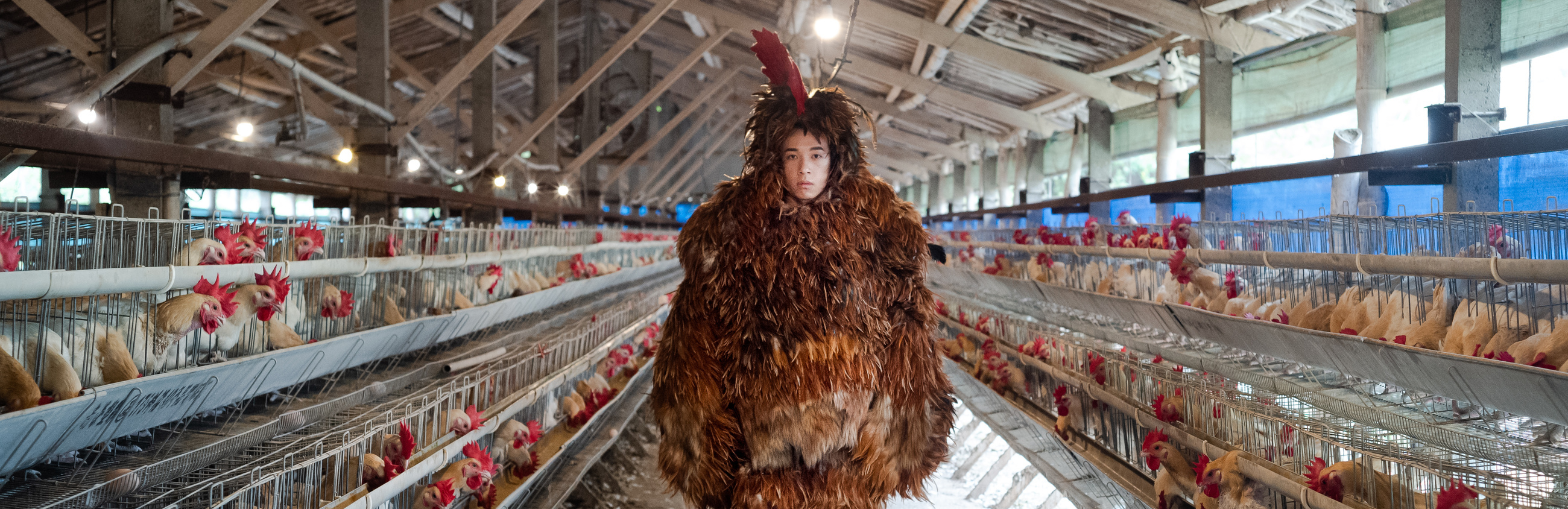 JOJO 我不当人啦！🐧🐔🐴🐕 