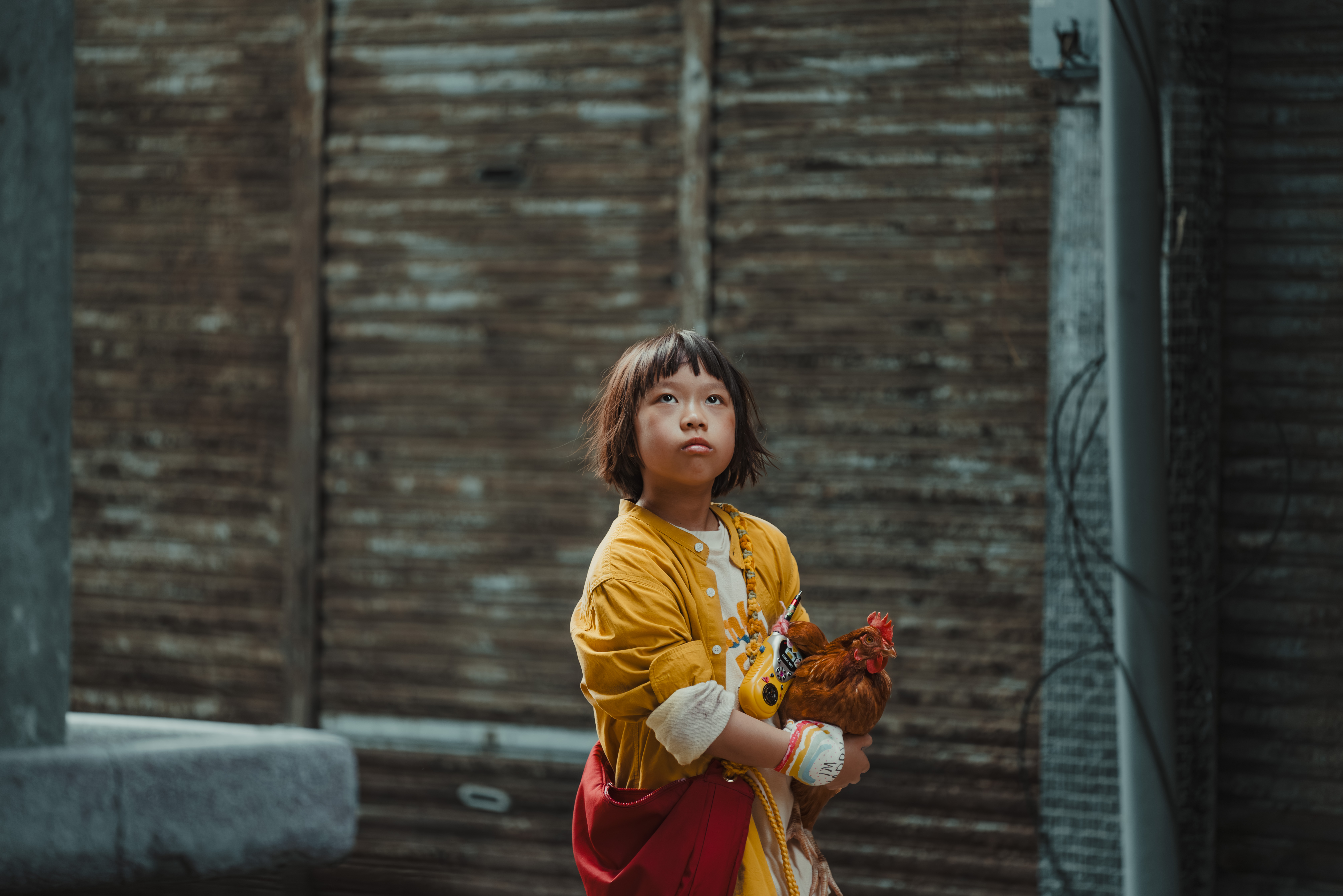 Kaohsiung Shorts (2024)