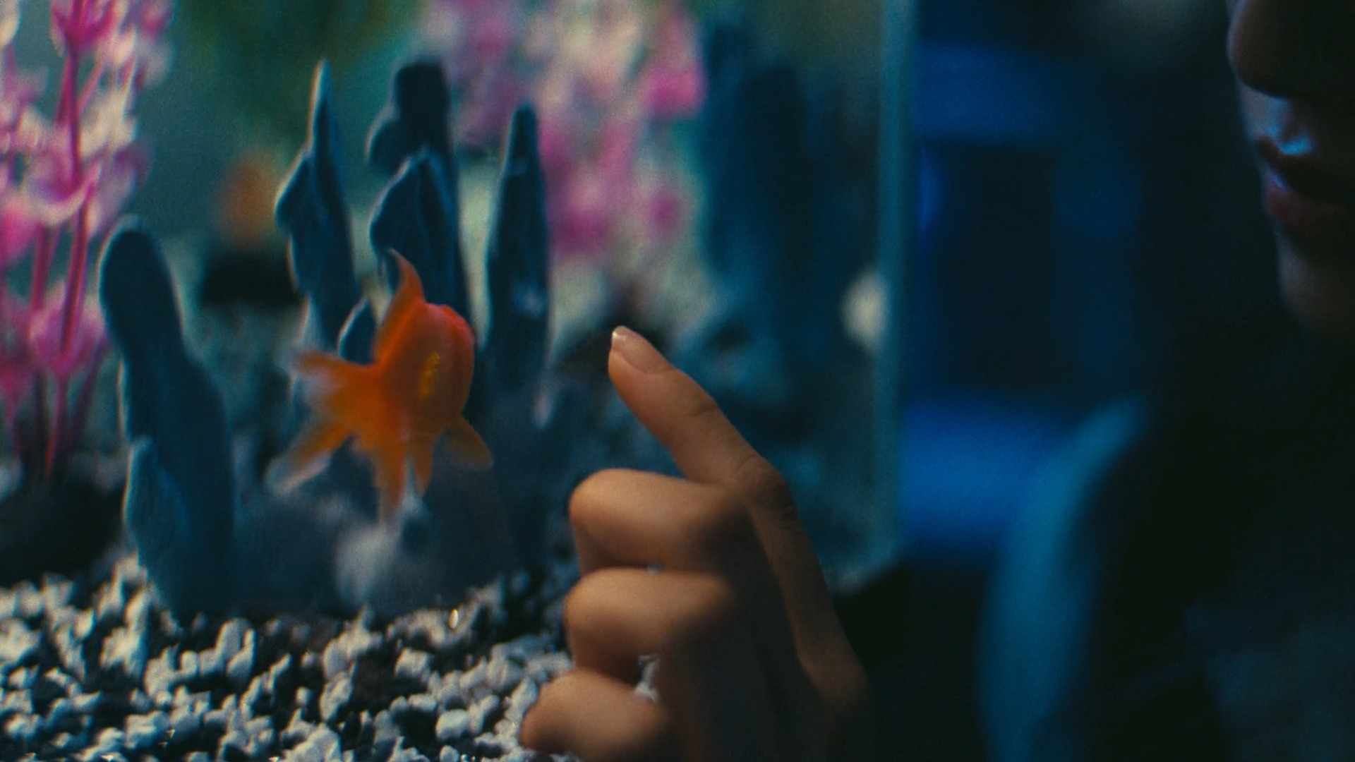Fishtank