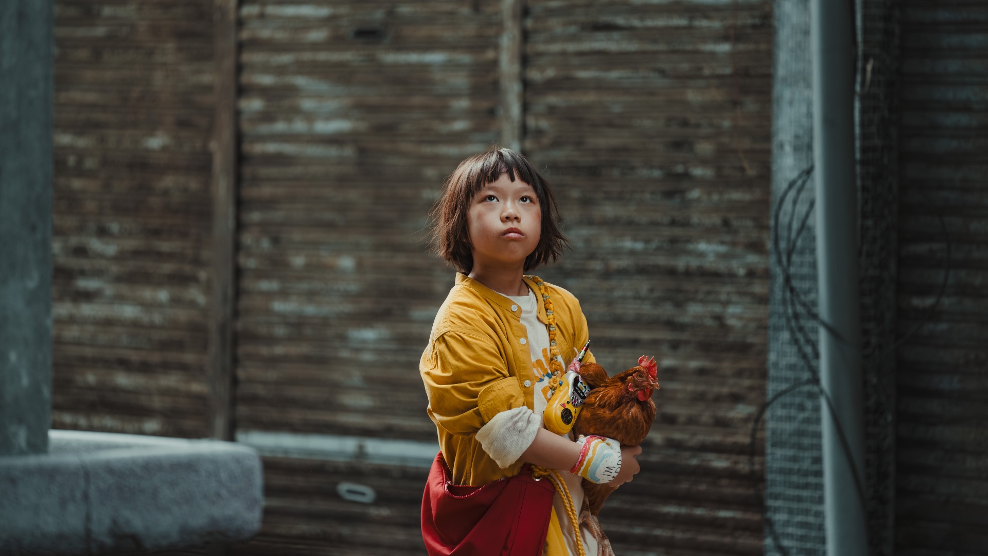 How to Kill a Chicken