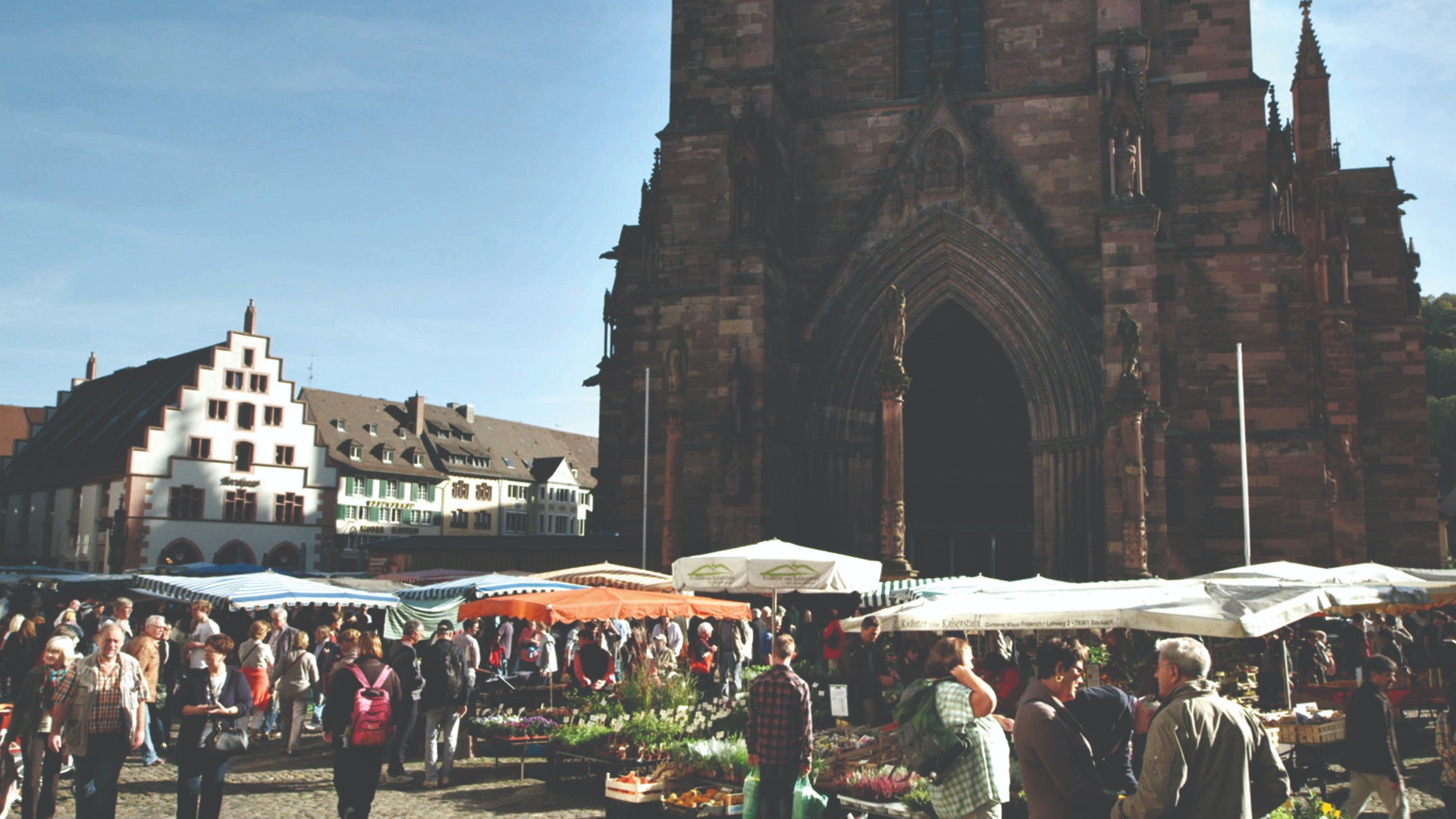 FOOD MARKETS : In the Belly of the City - Fribourg