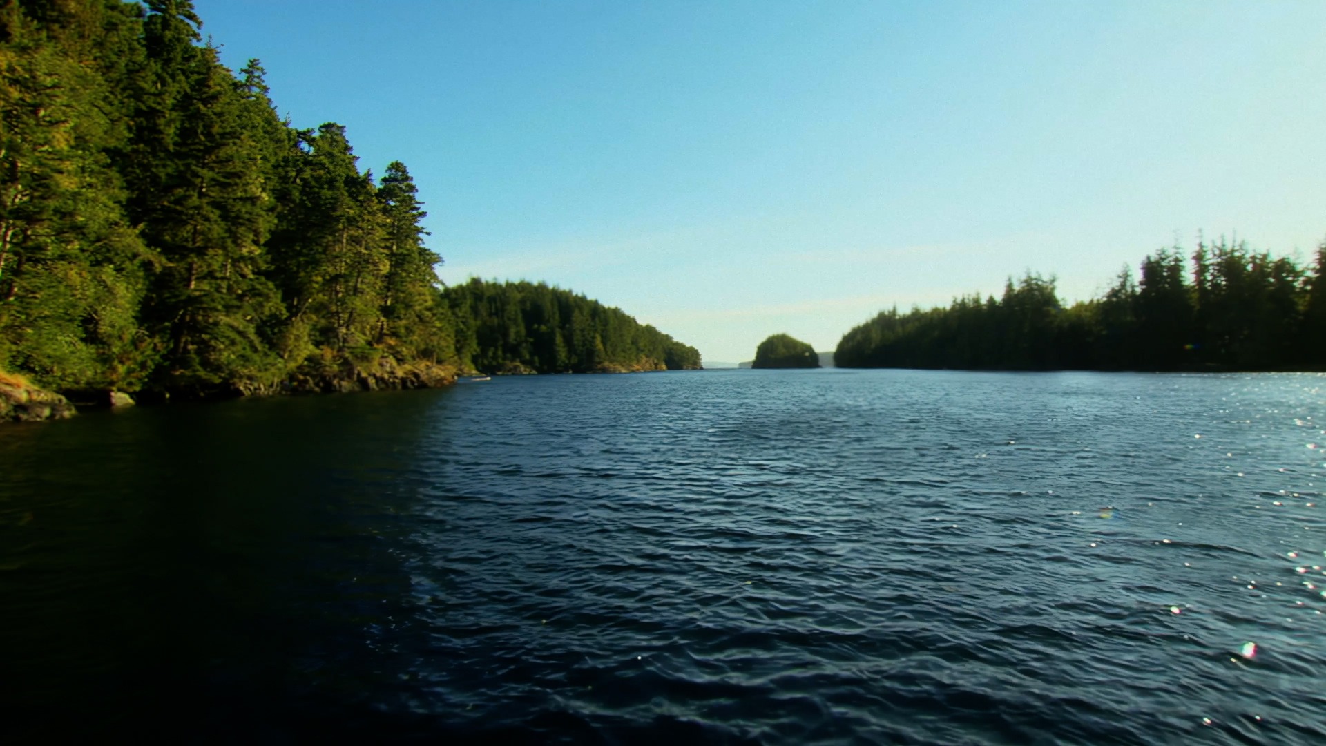 Wildest Islands—Vancouver Island: Rivers of Life