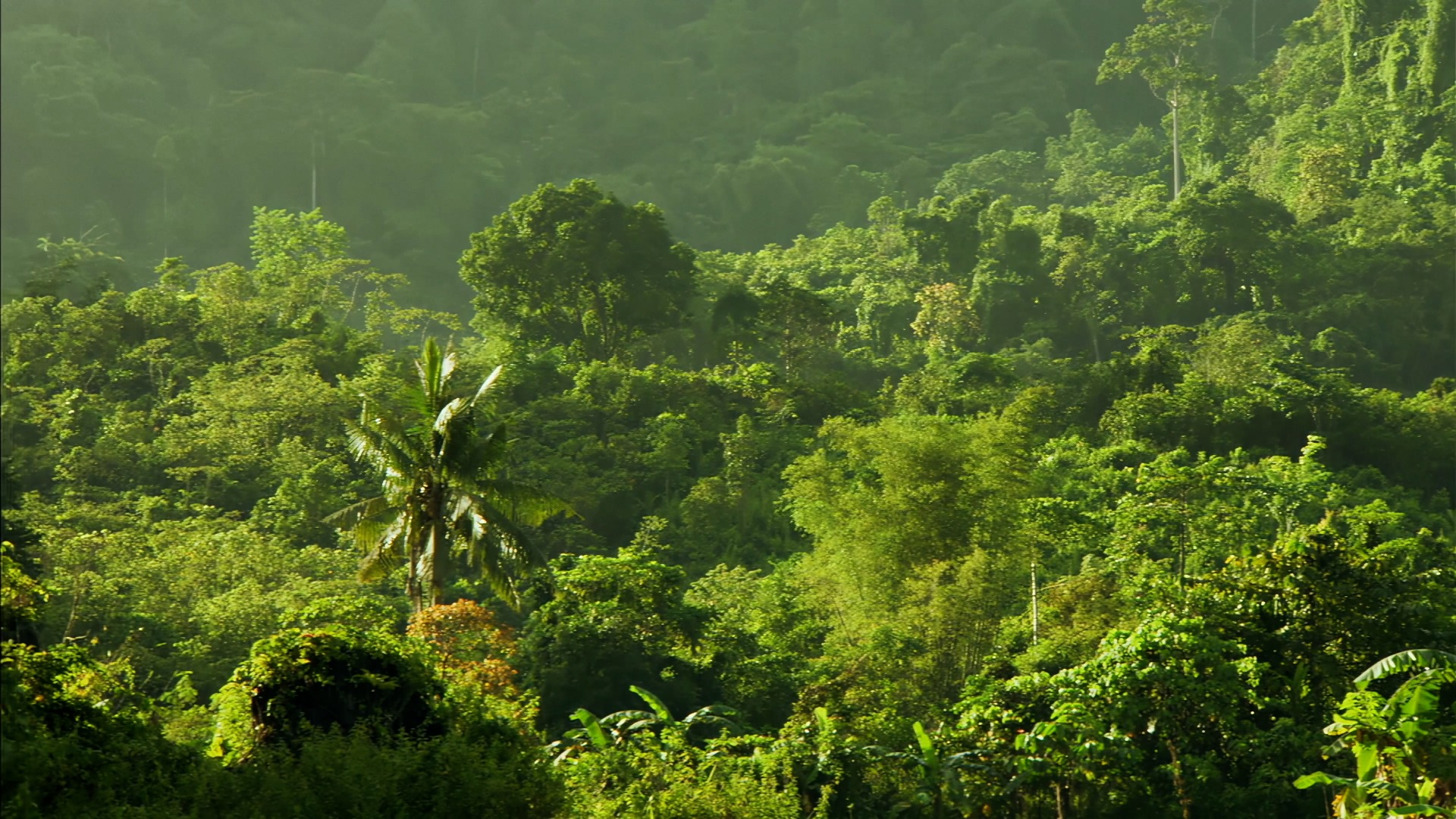 Wildest Islands—Philippines: Islands of Mystery