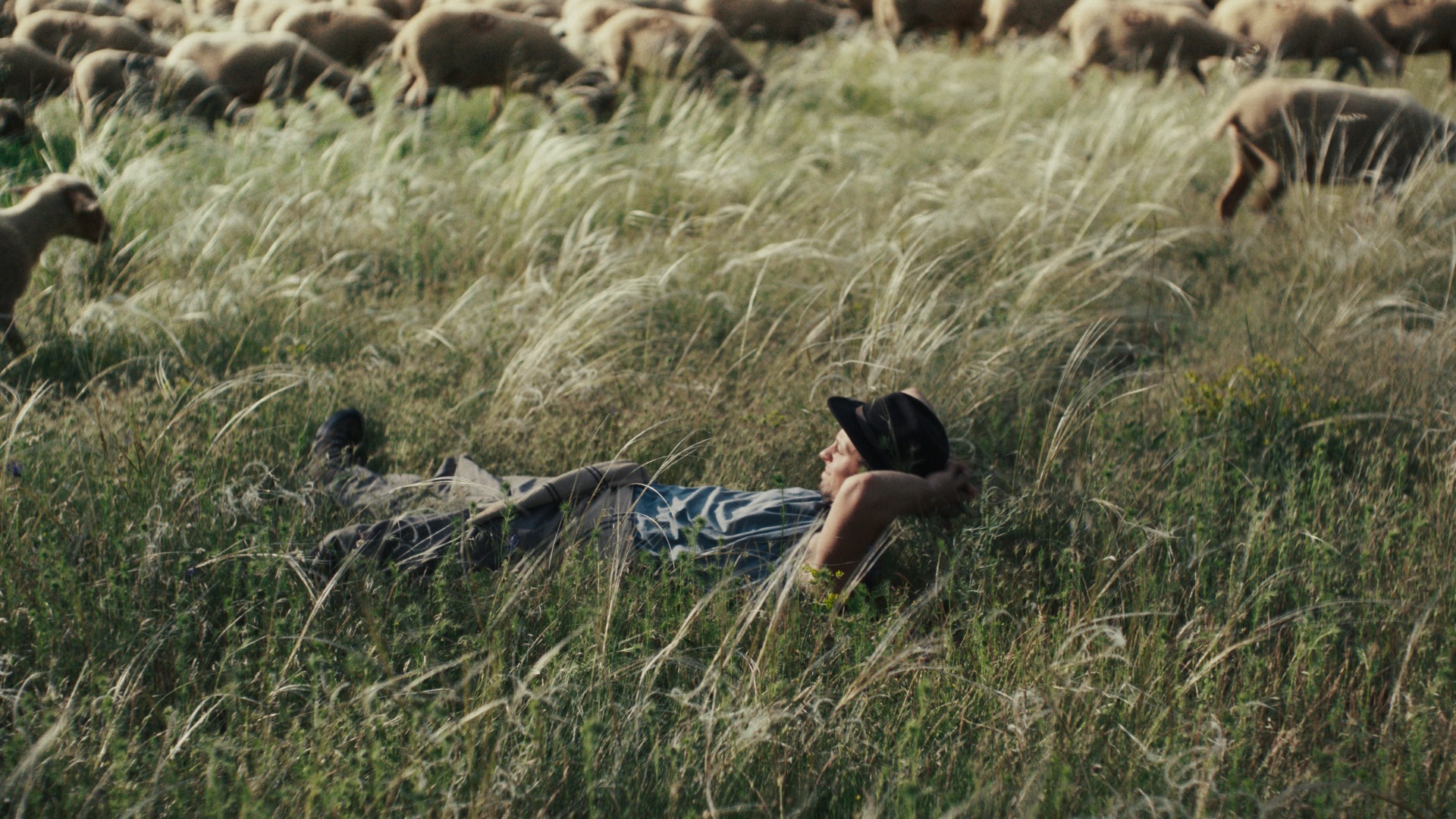 牧羊人，你来自哪里？