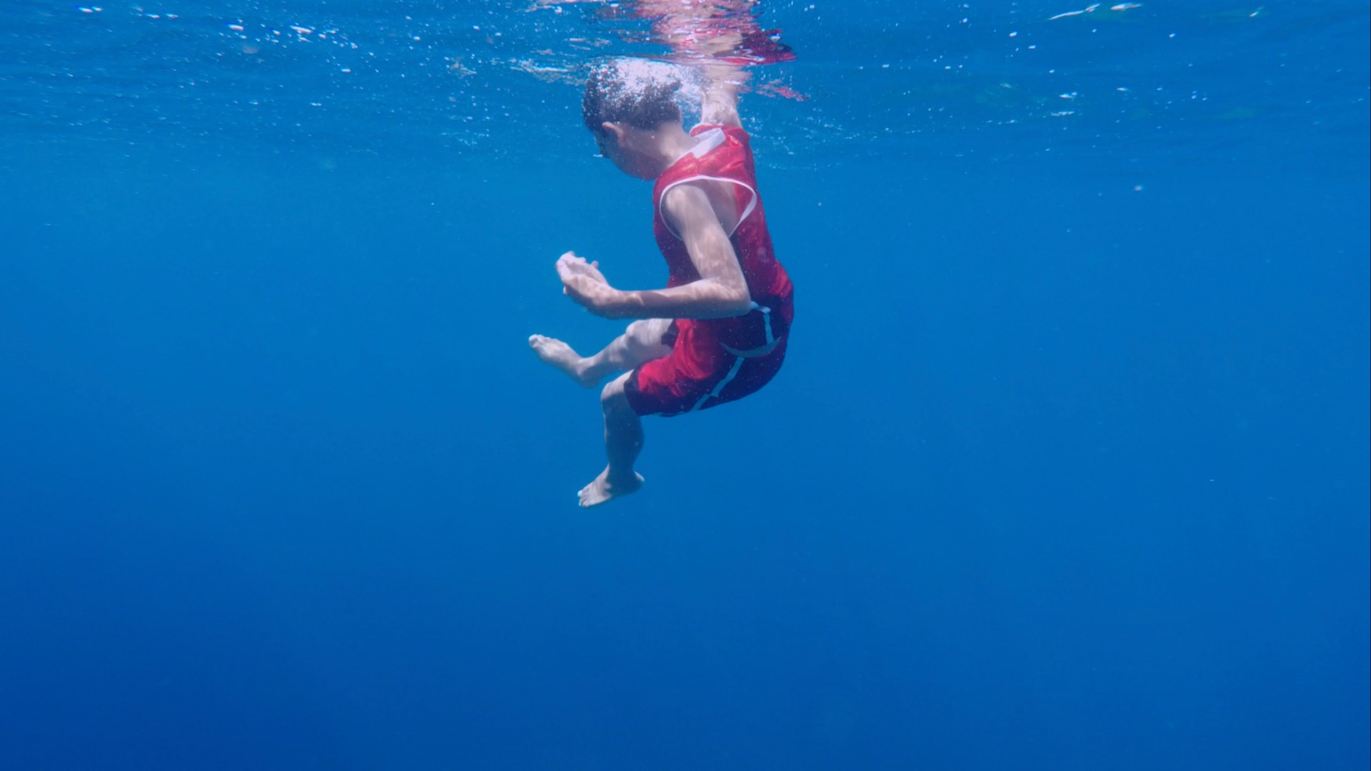 海邊最後的夏天