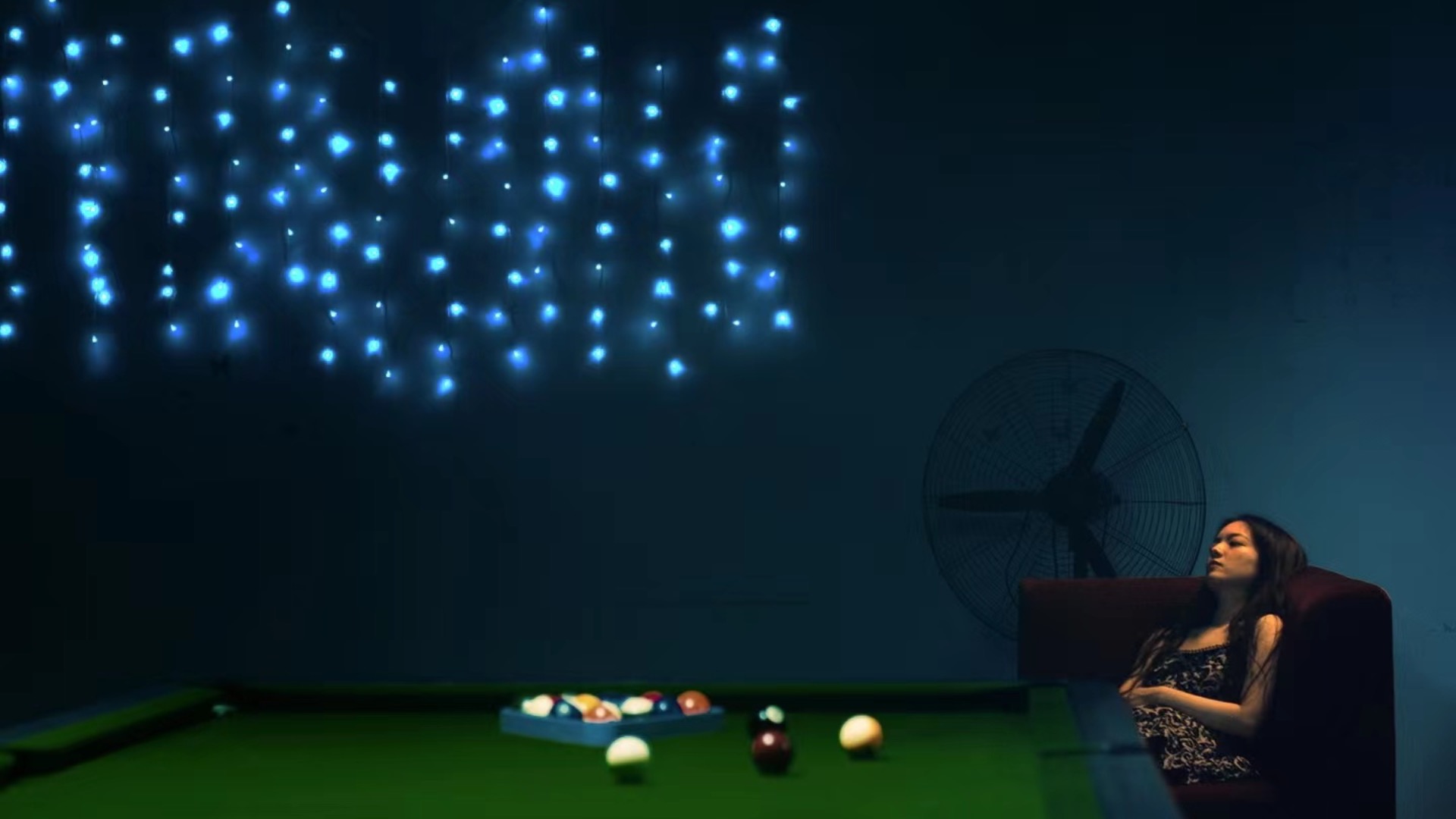 Aquarium In The Fishbowl