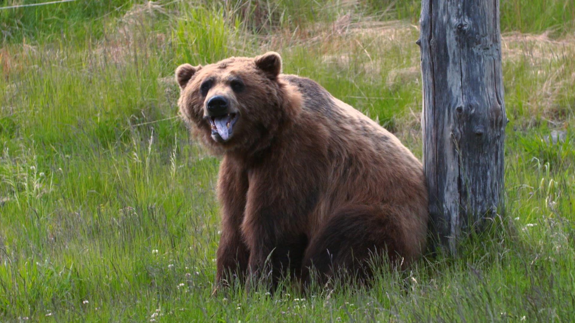 World's Wildest City: Anchorage—Baked Alaska