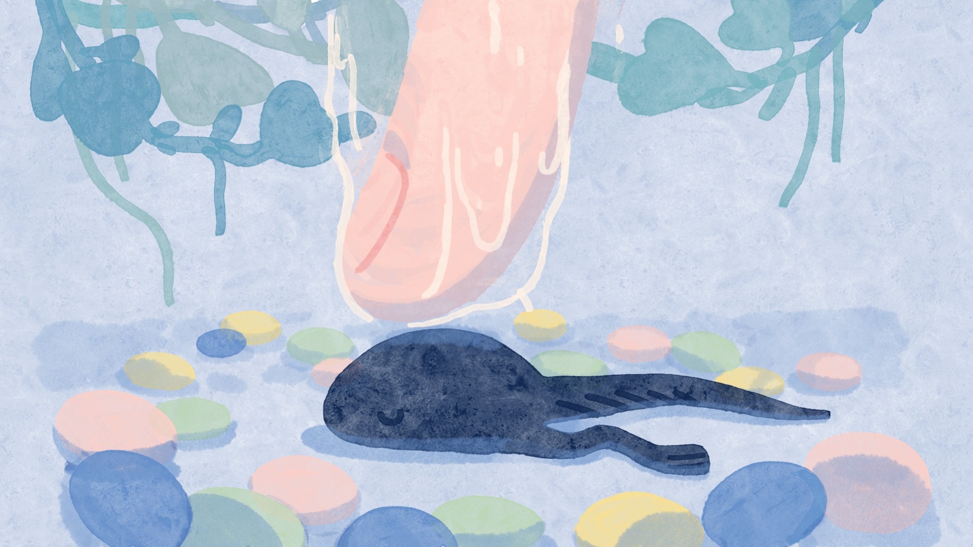 To the Moon and Back